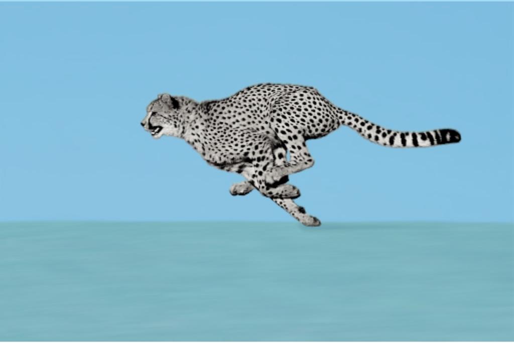 cheetah-cat-running