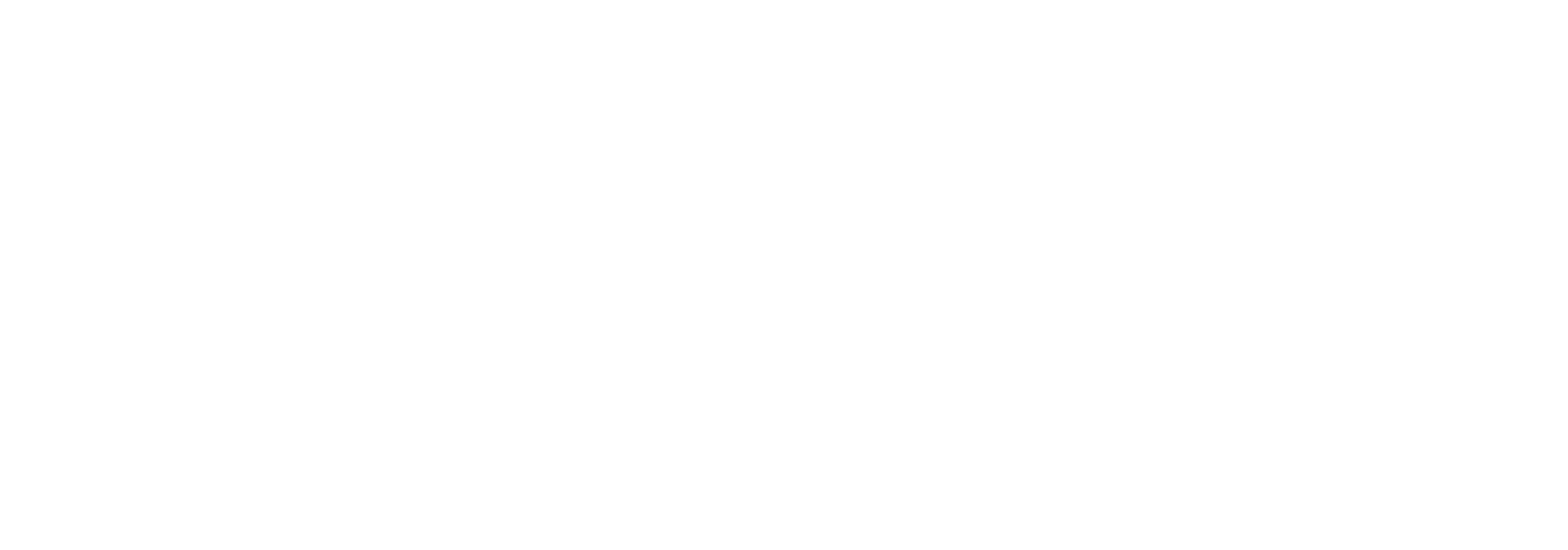 Weber_Logo_White