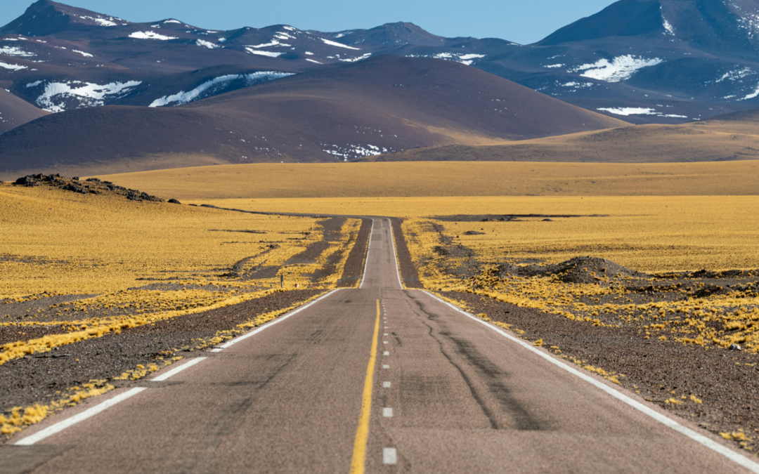 Do You Have What You Need To Succeed In 2026?